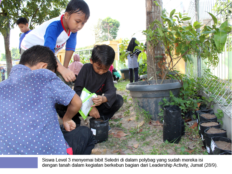 Leadership Activity Level Tiga Menanam Seledri